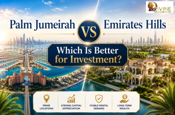 Palm Jumeirah vs Emirates Hills Which Is Better for Investment